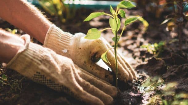 Gardening - Logo